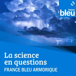 Pourquoi ne voit-on que le mât du bateau quand il est loin au large ?