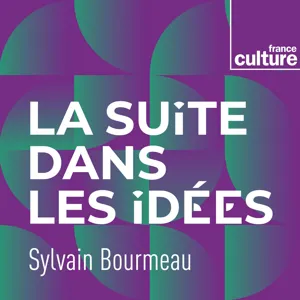 Psychique et politique, la psychothérapie institutionnelle comme théorie politique