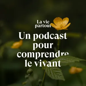 Le printemps arrive bientôt 🌱