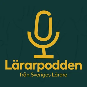 5. Sätta betyg tillsammans med olegitimerad kollega – har du fått rimliga förutsättningar?