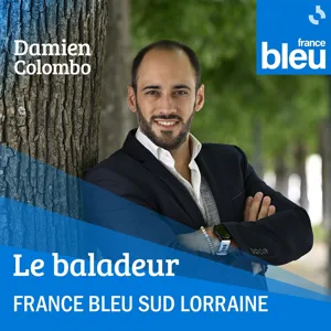 Des Lorrains représentent la région Grand Est au concours de boucherie-étal Inter-région du Salon de l'Agriculture : Ronan Richier