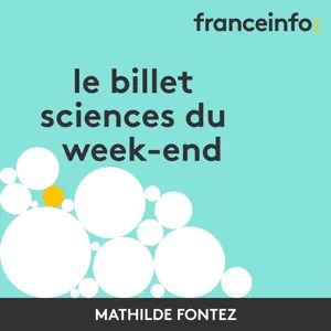 Le castor protège les écosystèmes du réchauffement climatique