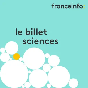 Alimentation :  le Nutri-Score à la française est le plus efficace en Europe, selon l'OCDE