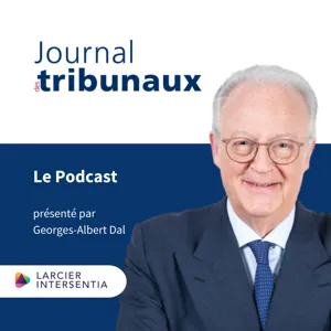 #31 - La transposition en droit belge de la directive sur le droit d'auteur et les droits voisins