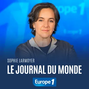 Afrique du Sud : une solution originale pour sauver les rhinocéros