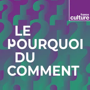 Pourquoi parle-t-on de "fin de vie" ?