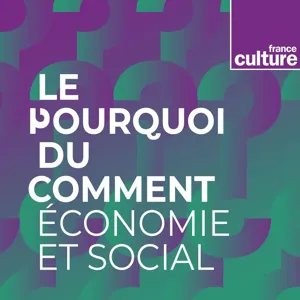 Pourquoi la jeunesse n'est qu'un mot ? 4/5 : Pourquoi parle-t-on de NEETs ?