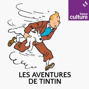 Le Secret de la Licorne : les Aventures de Tintin 1/4 : Une étrange coïncidence