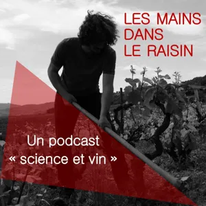 Episode 0 Le goût du vin (pilote)