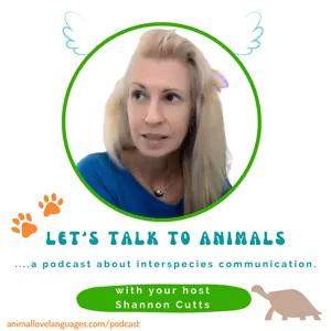 Using animal communication to talk with backyard wildlife