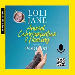 Episode #6: Help Making End of Life Decision with Animal Communication