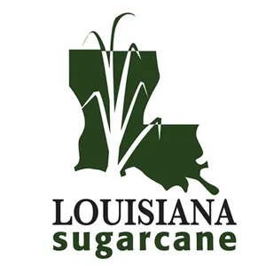 2019 Sugarcane Variety Freeze Evaluation