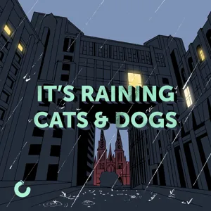 Дизайн апок для Vision Pro, Backend-For-Frontend, мітинги. It's raining cats&dogs 38