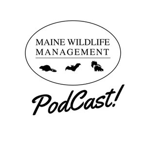 MWMPodcast 004: Inspecting Your Home For Bats