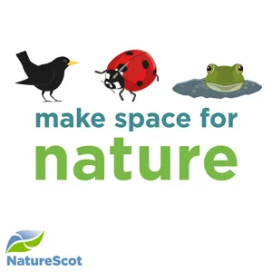 Making progress for pollinators and space for nature this spring, with Jim Jeffrey