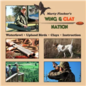 Getting Your Hunting Dog Ready for the Season