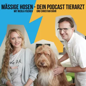 #28 GÄSTEBUCH - Hellhound Foundation mit Vanessa Bokr