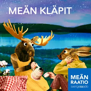 Randiga sagor meänkieli, del 31: Nalle har teater / Nallen teatteri