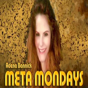 Meta Mondays with Adena Bannick, October 9, 2017