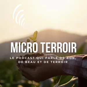 MICRO TERROIR - S1Ep2 - Salon Vigneron - Pour une poignée de Raisins