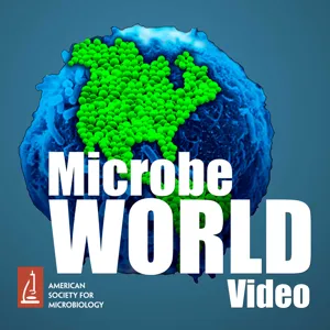 MWV Episode 69 (audio only) - Richard Cogdell - Bacterial Photosynthesis