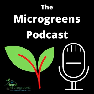 Can You Reuse Microgreen Soil?
