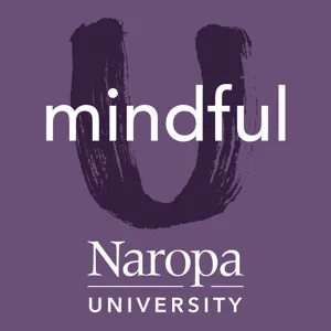 104. The Essential Relationship of Mindfulness and Activism