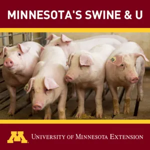 Episode 19: Farm Safety While Working on Pig Farms