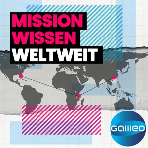 MWW 21 "Ich kann das nicht vergessen" - zu Besuch in Agbogbloshie, der Müllkippe Europas