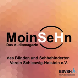 MoinSeHn - Ausgabe Mai 2023