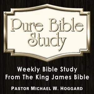 Pure Bible Study 11-28-12