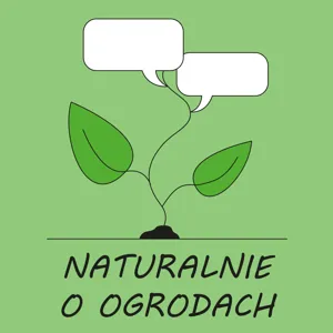 NoO 56: Ogrody na balkonach i tarasach.  Polecamy kwiaty, warzywa i zioła