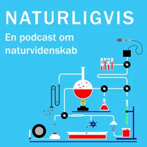 Hvad er løsningen på antibiotikaresistens?