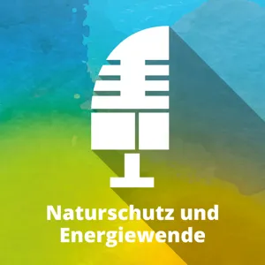 Mehr Tempo bei der Energiewende!  Das KNE im Gespräch mit BDEW-Chefin Kerstin Andreae