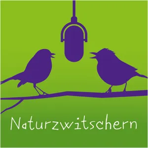 Naturzwitschern mit Heiko Wohltmann