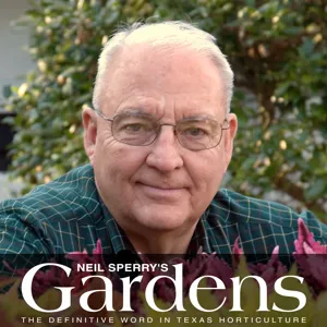 December 23, 2023 - 1PM KLIF - Texas Gardening