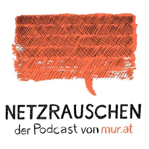 mur.at Netzrauschen #003 Zurück und voraus schauen