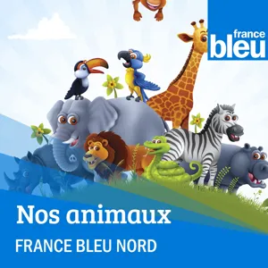 Le droit animalier avec Me Graziella Dode...Les animaux de divertissement et la comportementaliste canin Alexandra Carton