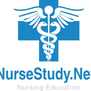 Pancreatitis NCLEX Pathophysiology Care Plan for Nursing Students