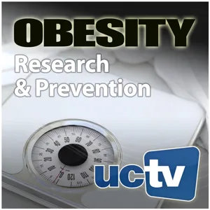 Excess Body Fat Triggers Insulin Resistance