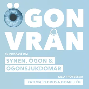 Avsnitt 3: Farliga ögonsymptom