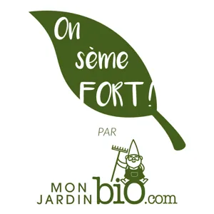 On sème FORT ! - Planter des mûres - Emission du 8 mars