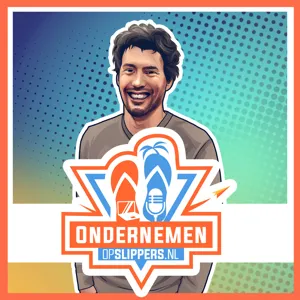 SLIPPERTJE 64: Ecommerce onderneming verkopen aan de Dwarfs met Niels van Lith