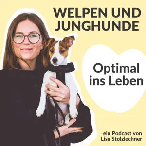 Interview: Tierarztbesuche mit Welpen und Junghunden mit Gästin Anky Juhasz