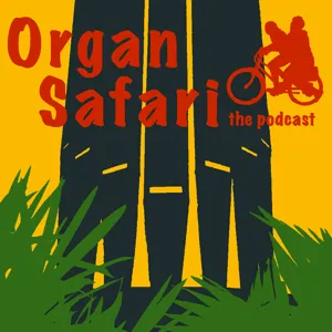 Episode 019 — The Organ Café