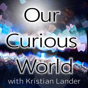 Our Curious World