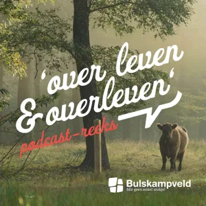 Over Lattenklievers, de E40 en de boomkwekerijen