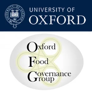 Governing food anxieties: The role of emotion in mothers' food practices