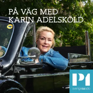 Den intima bilen