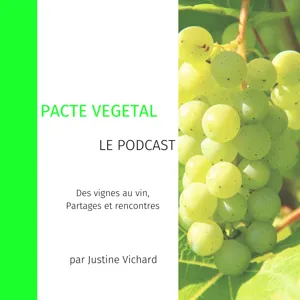 Episode 2 . La vigne, ce paradoxe vég